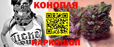 Альфа ПВП Будённовск