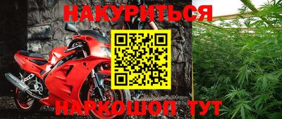 Альфа ПВП Будённовск