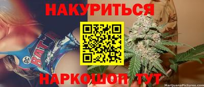Альфа ПВП Будённовск