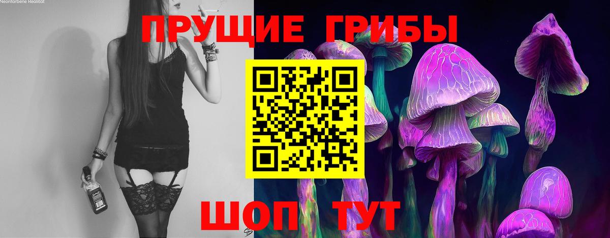Галлюциногенные грибы прущие грибы  Вход с VPN  Галлюциногенные грибы Magic Shrooms  сколько стоит  Копейск 